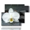 moderne bilder mit weissen orchideen und schwarzen steinen - version: 6 pannelli 122x96cm