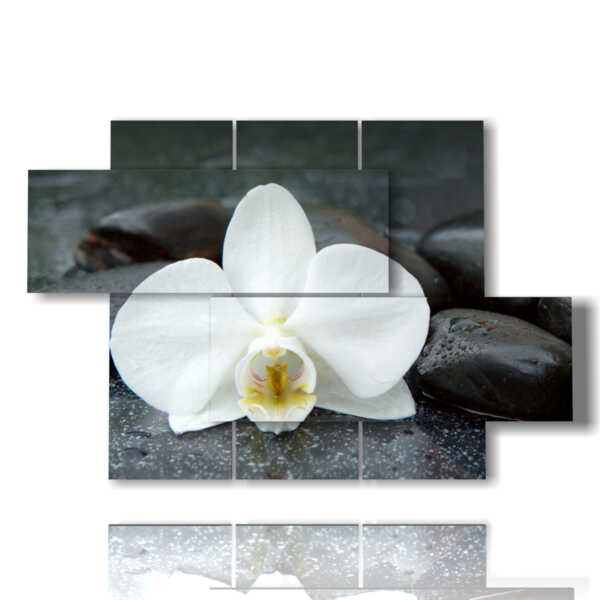 cuadros modernos con orquídeas blancas y piedras negras