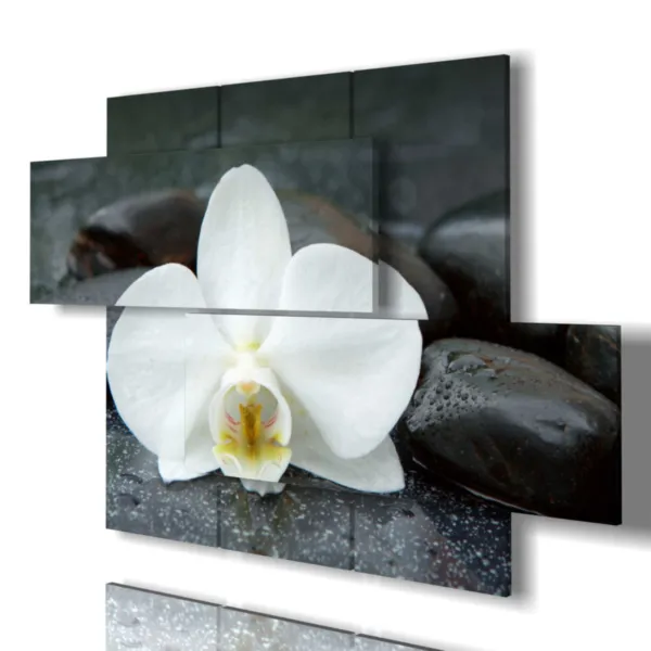 impressions modernes d''orchidées