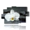 modern paintings with white orchids and black stones - version: 9 pannelli 171x108cm