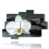 modern paintings with white orchids and black stones - version: 10 pannelli 173x114cm