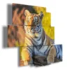 quadri con tigre