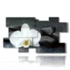 modern paintings with white orchids and black stones - version: 10 pannelli 186x105cm