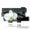 modern paintings with white orchids and black stones - version: 10 pannelli 190x110cm