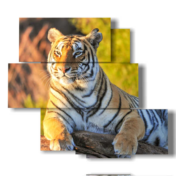 Bild mit Tiger im Hochformat
