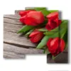 paintings flowers red tulips as a gift for you - version: 5 pannelli 89x77cm