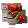 bilder blumen rote tulpen als geschenk fuer dich - version: 6 pannelli 113x99cm