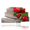 quadri fiori tulipani rossi in regalo per te - version: 9 pannelli 173x103cm