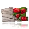 paintings flowers red tulips as a gift for you - version: 11 pannelli 184x104cm