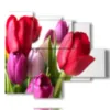tulipes tableau moderne dans un bouquet colore - version: 5 pannelli 104x90cm