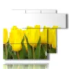 tableau tulipes soleil - version: 6 pannelli 122x96cm