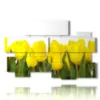 tableau tulipes soleil - version: 10 pannelli 176x115cm