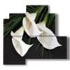 bilder elegante weisse calla lilien - version: 4 pannelli 83x78cm