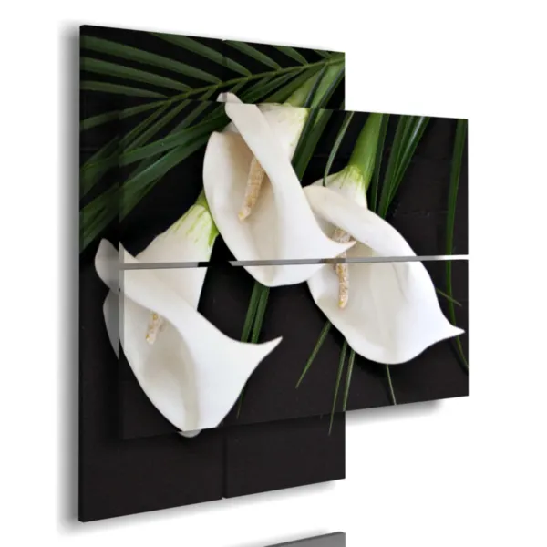 Elegant white-painted street frames