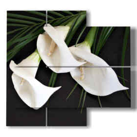 Bilder elegante weiße Calla-Lilien