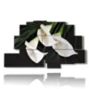 elegant white calle paintings - version: 9 pannelli 173x103cm