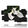 bilder elegante weisse calla lilien - version: 10 pannelli 176x115cm
