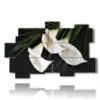 elegantes cuadros blancos calla - version: 11 pannelli 182x115cm