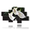 bilder elegante weisse calla lilien - version: 8 pannelli 187x113cm