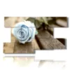 painting of blue roses like the summer sky - version: 9 pannelli 177x101cm