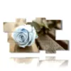 painting of blue roses like the summer sky - version: 10 pannelli 191x106cm