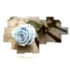painting of blue roses like the summer sky - version: 20 pannelli 256x150cm