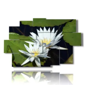 quadri con fiori bianchi