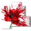 bilder rote malerei blumen - version: 4 pannelli 83x78cm