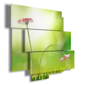 Spring flower paintings