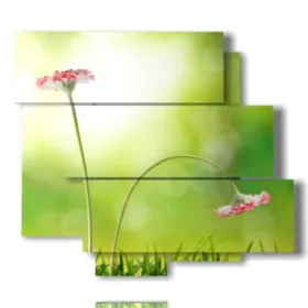 Foto de flores de primavera