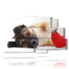 quadro con dipinto del cane con cuore - version: 9 pannelli 173x103cm