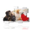 painting with dog with heart - version: 11 pannelli 182x115cm