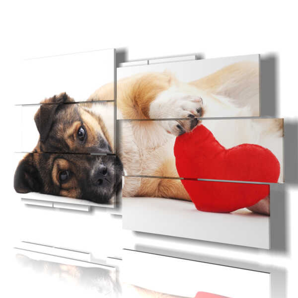 quadro con dipinto del cane con cuore