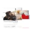 painting with dog with heart - version: 8 pannelli 184x100cm