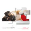 painting with dog with heart - version: 10 pannelli 186x105cm