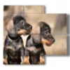 quadro con foto cani piccoli - version: 4 pannelli 91x85cm