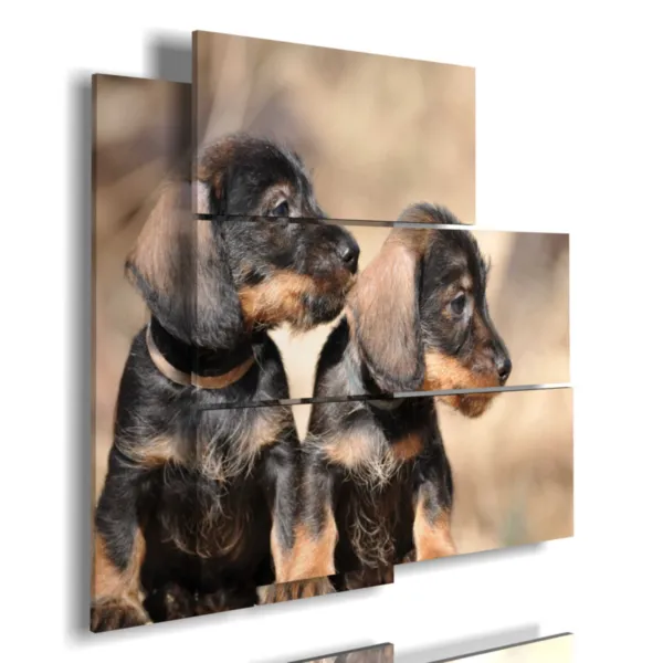 A framed picture with photos of small dogs