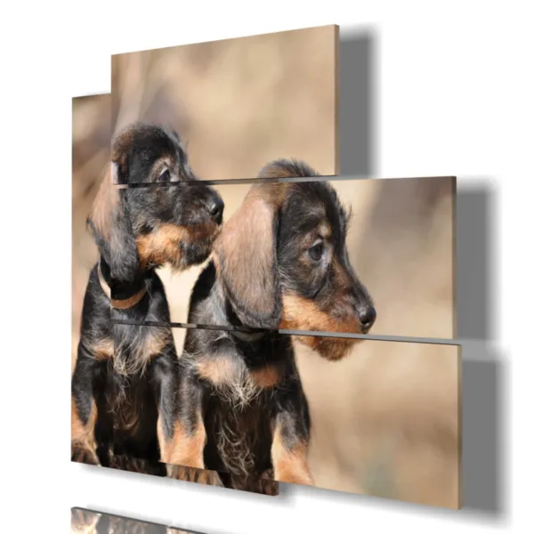 Tableaux avec des photos de petits chiens