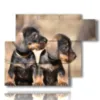 painting with photos of small dogs - version: 6 pannelli 122x96cm