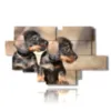 tableau avec photos de petits chiens - version: 12 pannelli 206x119cm