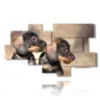 painting with photos of small dogs - version: 9 pannelli 189x110cm