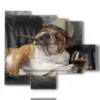 hund in bild mit whisky und zigarre - version: 5 pannelli 104x90cm