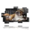hund in bild mit whisky und zigarre - version: 11 pannelli 182x115cm