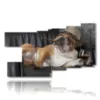 hund in bild mit whisky und zigarre - version: 9 pannelli 184x108cm