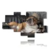 dog in painting with whiskey and cigar - version: 9 pannelli 189x110cm