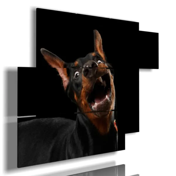 cuadros con fotos de perros grandes y divertidos