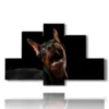 caja con fotos de perros grandes y divertidos - version: 6 pannelli 135x85cm