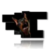 tableau avec des photos de gros chiens rigolos - version: 7 pannelli 172x103cm
