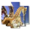 tableaux abstraits avec poissons hippocampes - version: 5 pannelli 89x85cm