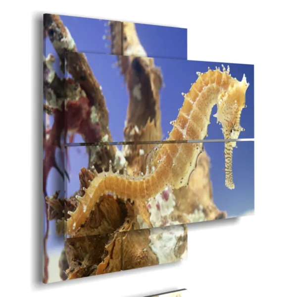 Abstract paintings with fish and seahorses